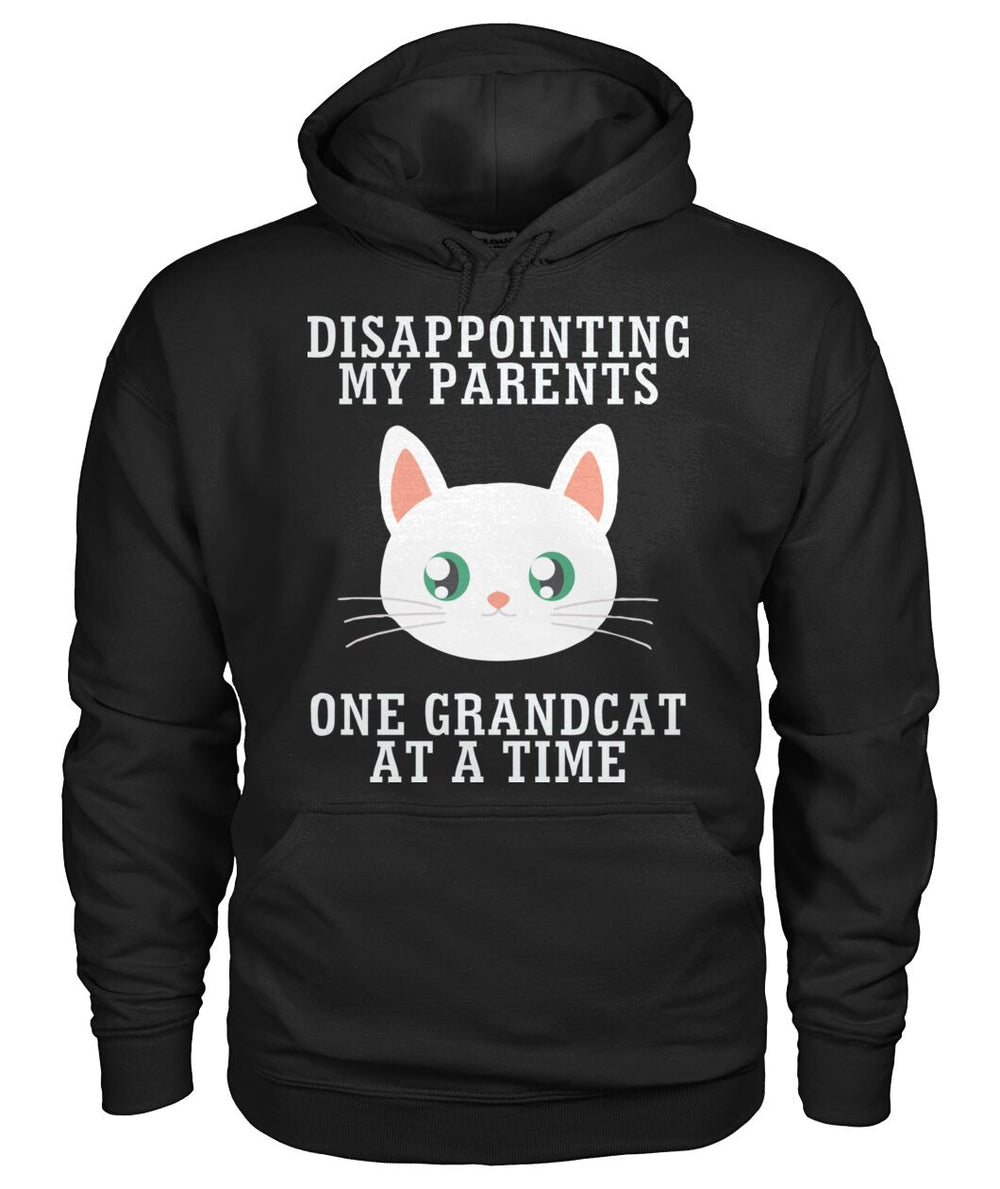 Disappointing My Parents One Grandcat At A Time
